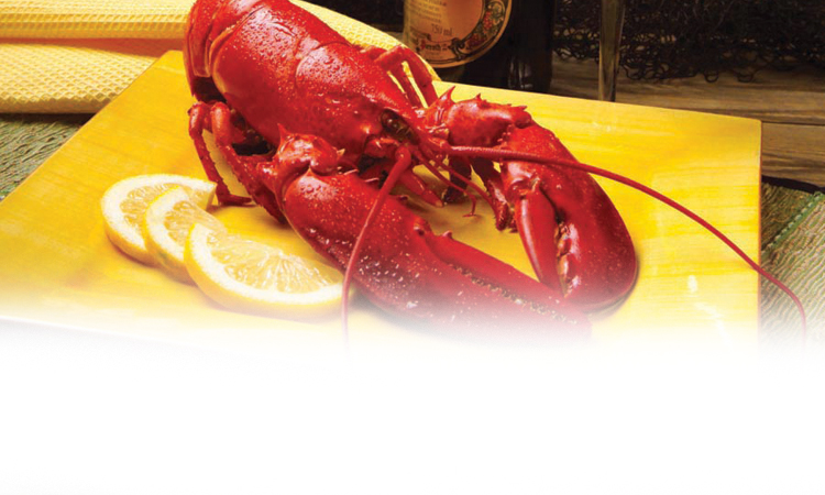 Lobster-Web.jpg