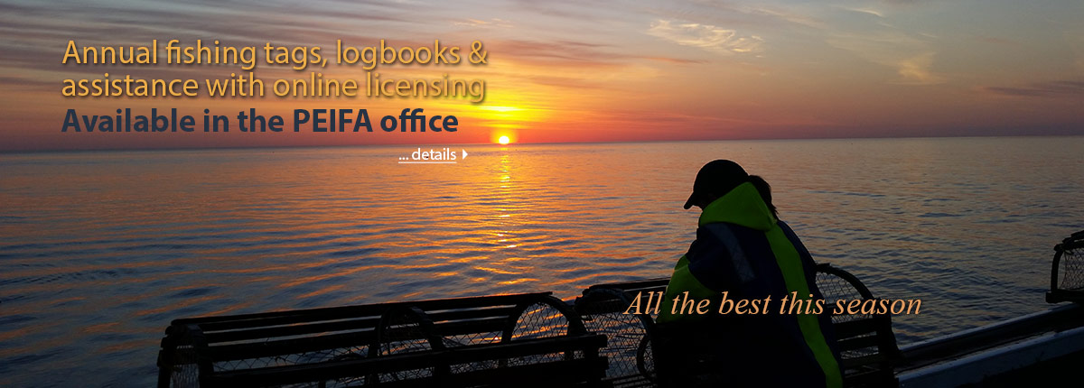 Fishing tags, logbooks and assistance with online licensing